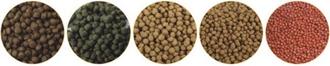 Bird Food Making Machine